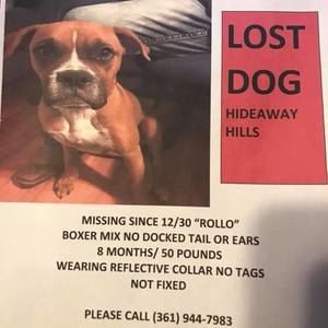 Meet your Posher, Dana